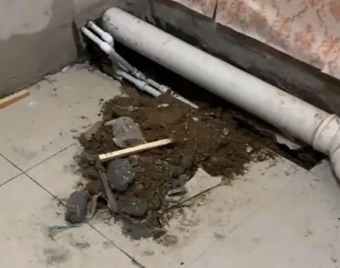 凤山卫生间漏水检测哪家好