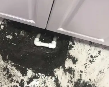 凤山查漏水哪家好